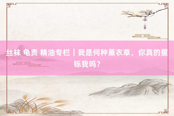 丝袜 龟责 精油专栏｜我是何种薰衣草，你真的矍铄我吗？