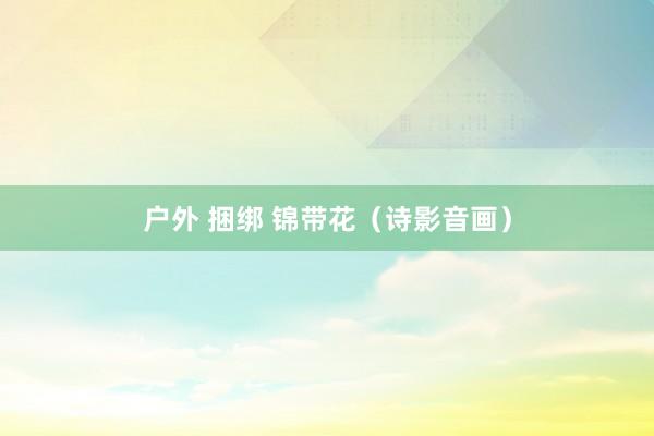 户外 捆绑 锦带花（诗影音画）