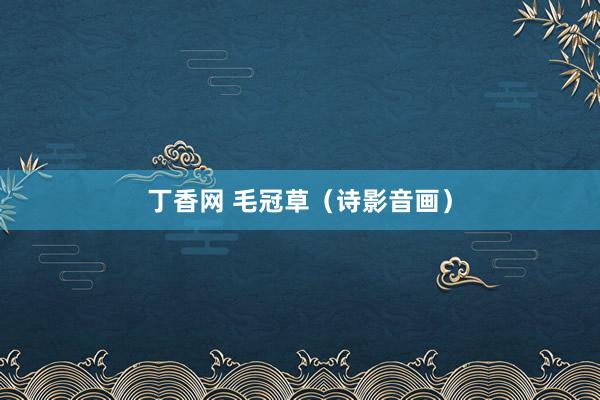 丁香网 毛冠草（诗影音画）
