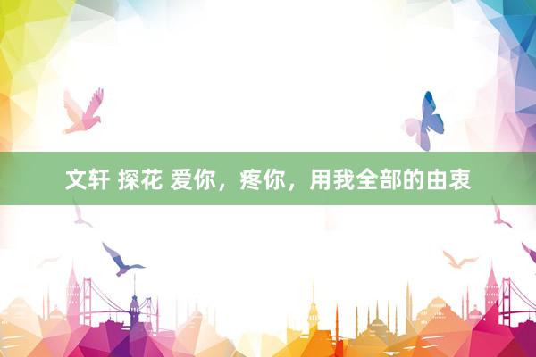 文轩 探花 爱你，疼你，用我全部的由衷