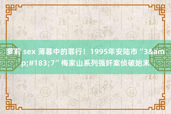 萝莉 sex 薄暮中的罪行！1995年安陆市“3&#183;7”梅家山系列强奸案侦破始末