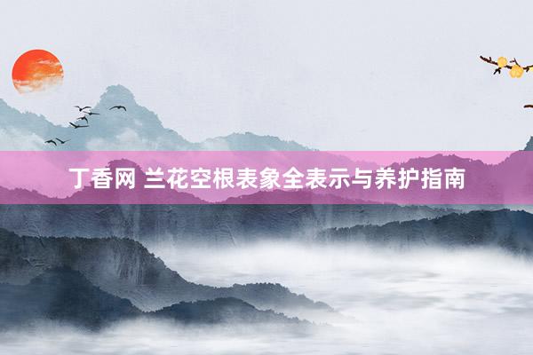 丁香网 兰花空根表象全表示与养护指南