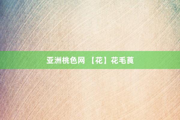 亚洲桃色网 【花】花毛莨