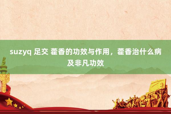 suzyq 足交 藿香的功效与作用，藿香治什么病及非凡功效