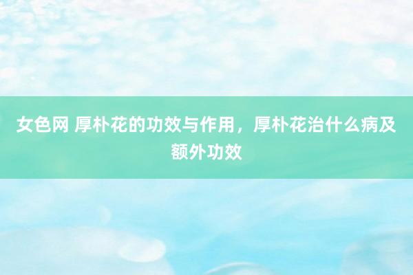 女色网 厚朴花的功效与作用，厚朴花治什么病及额外功效