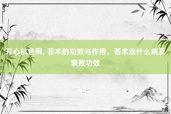 开心桃色网， 苍术的功效与作用，苍术治什么病及衰败功效