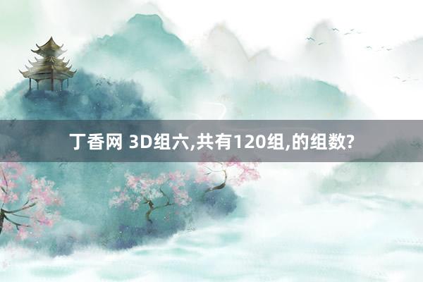 丁香网 3D组六，共有120组，的组数?